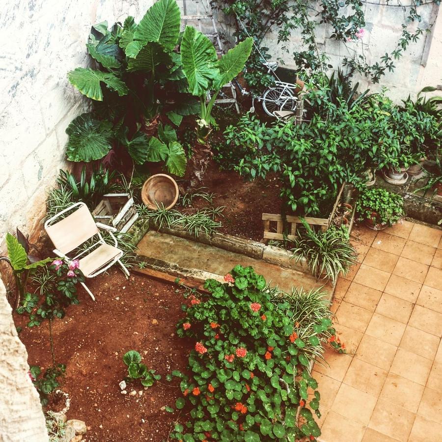 Sa Madona De Sa Pleta Bed & Breakfast Muro Exterior photo